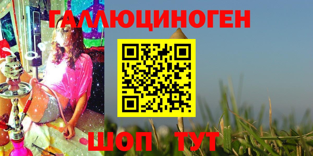 купить наркотик  Псилоцибиновые грибы GOLDEN TEACHER  Вход с VPN  Майкоп 